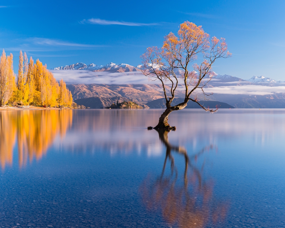 Aroharn Luxury Piracy Located Penthouse preview